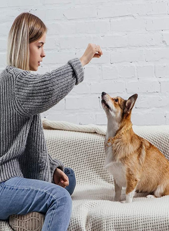 Pups&Pets طوق تدريب للكلاب من Pups&Pets، ذهبي (نحاسي) وفضي (معدني)، سلسلة صغيرة الحلقات، مناسب للكلاب الصغيرة (طول 18 بوصة). - Image 5